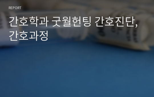 간호학과 굿월헌팅 간호진단,간호과정