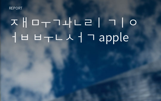 재무관리 기업 분석 apple