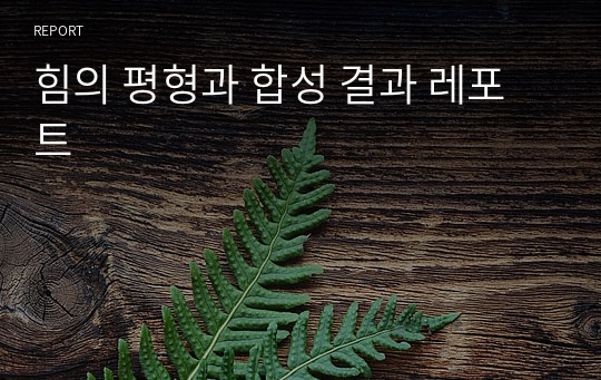 힘의 평형과 합성 결과 레포트