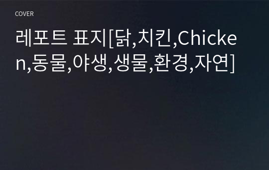 레포트 표지[닭,치킨,Chicken,동물,야생,생물,환경,자연]