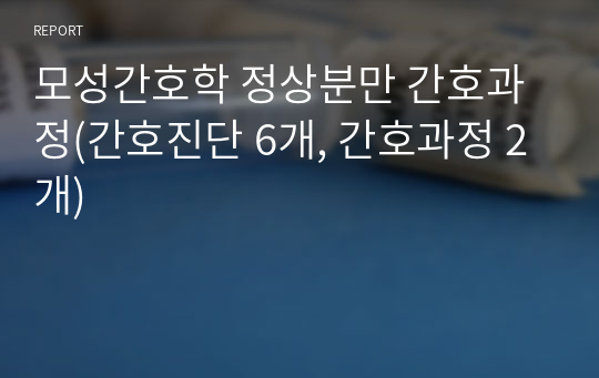 모성간호학 정상분만 간호과정(간호진단 6개, 간호과정 2개)