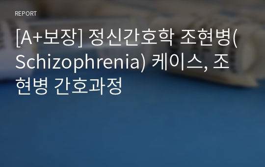 [A+보장] 정신간호학 조현병(Schizophrenia) 케이스(간호진단3개, 간호과정2개)