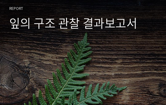 잎의 구조 관찰 결과보고서