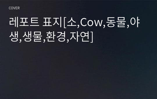 레포트 표지[소,Cow,동물,야생,생물,환경,자연]