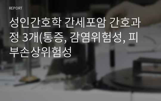 성인간호학 간세포암 간호과정 3개(통증, 감염위험성, 피부손상위험성