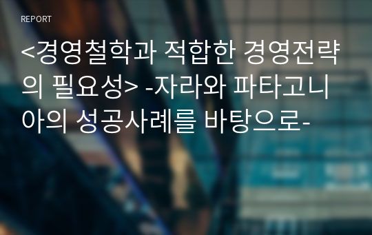 &lt;경영철학과 적합한 경영전략의 필요성&gt; -자라와 파타고니아의 성공사례를 바탕으로-