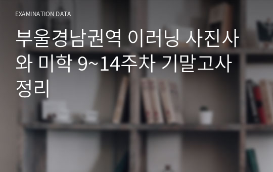 부울경남권역 이러닝 사진사와 미학 9~14주차 기말고사 정리