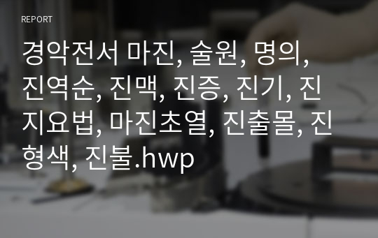 경악전서 마진, 술원, 명의, 진역순, 진맥, 진증, 진기, 진지요법, 마진초열, 진출몰, 진형색, 진불.hwp