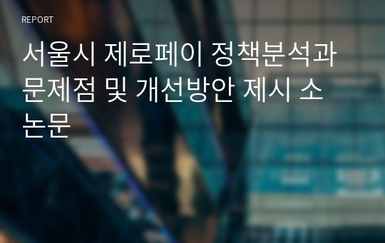 서울시 제로페이 정책분석과 문제점 및 개선방안 제시 소논문