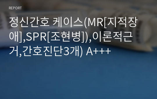 정신간호 케이스(MR[지적장애],SPR[조현병]),이론적근거,간호진단3개) A+++