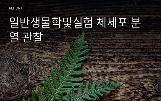 일반생물학및실험 체세포 분열 관찰