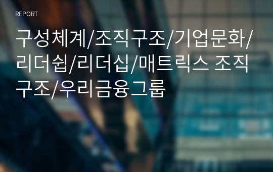 구성체계/조직구조/기업문화/리더쉽/리더십/매트릭스 조직구조/우리금융그룹