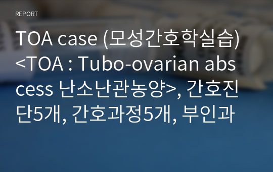 TOA case (모성간호학실습)&lt;TOA : Tubo-ovarian abscess 난소난관농양&gt;, 간호진단5개, 간호과정5개, 부인과질환, 간호과정 교수님 칭찬받음.