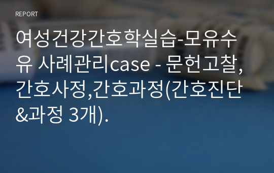 여성건강간호학실습-모유수유 사례관리case - 문헌고찰,간호사정,간호과정(간호진단&amp;과정 3개).