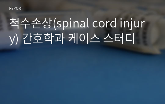 척수손상(spinal cord injury) 간호학과 케이스 스터디