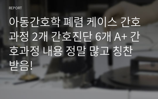 아동간호학 폐렴 케이스 간호과정 2개 간호진단 6개 A+ 간호과정 내용 정말 많고 칭찬받음!