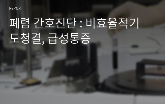 폐렴 간호진단