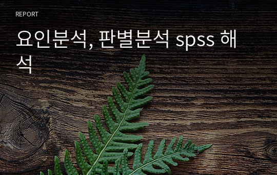 요인분석, 판별분석 spss 해석