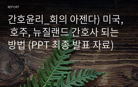 간호윤리_회의 아젠다) 미국, 호주, 뉴질랜드 간호사 되는 방법 (PPT 최종 발표 자료)