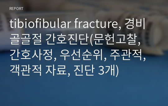 tibiofibular fracture, 경비골골절 간호진단(문헌고찰, 간호사정, 우선순위, 주관적, 객관적 자료, 진단 3개)