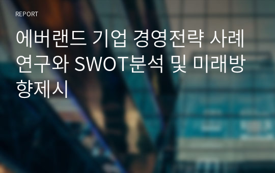 에버랜드 기업 경영전략 사례연구와 SWOT분석 및 미래방향제시