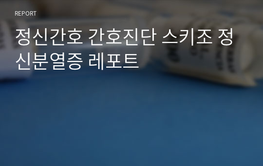 정신간호 간호진단 스키조 정신분열증 레포트