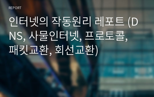 인터넷의 작동원리 레포트 (DNS, 사물인터넷, 프로토콜, 패킷교환, 회선교환)