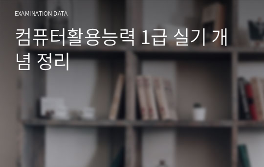 컴퓨터활용능력 1급 실기 개념 정리