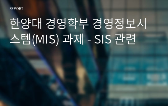한양대 경영학부 경영정보시스템(MIS) 과제 - SIS 관련