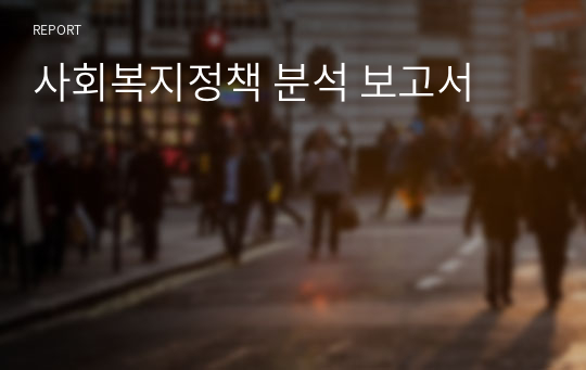 사회복지정책 분석 보고서