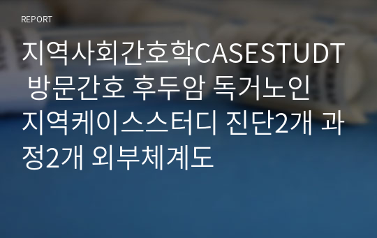 지역사회간호학CASESTUDT 방문간호 후두암 독거노인 지역케이스스터디 진단2개 과정2개 외부체계도