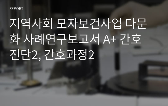 지역사회 모자보건사업 다문화 사례연구보고서 A+ 간호진단2, 간호과정2