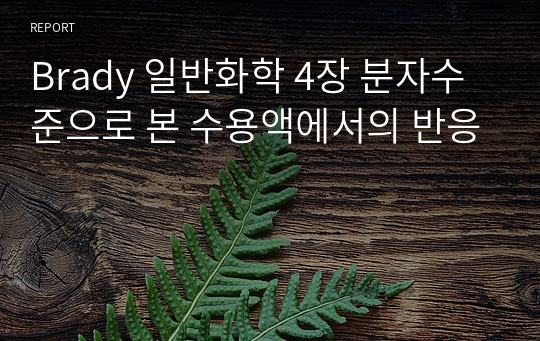 Brady 일반화학 7판 &quot;4장 분자수준으로 본 수용액에서의 반응&quot; 복습질문 정답