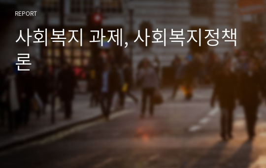 사회복지 과제, 사회복지정책론