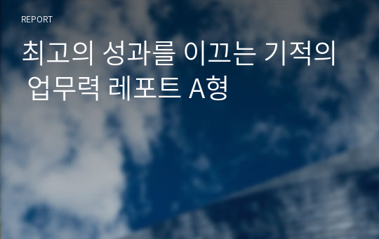 최고의 성과를 이끄는 기적의 업무력 레포트 A형