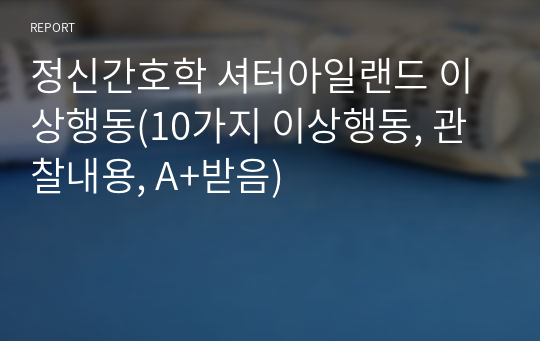 정신간호학 셔터아일랜드 이상행동(10가지 이상행동, 관찰내용, A+받음)