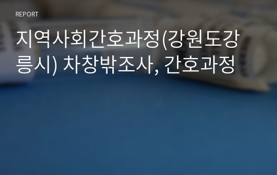 지역사회간호과정(강원도강릉시) 차창밖조사, 간호과정