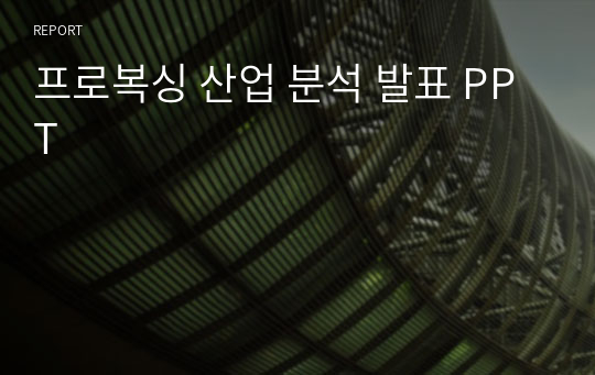 프로복싱 산업 분석 발표 PPT