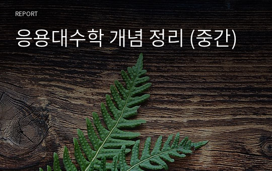 응용대수학 개념 정리 (중간)