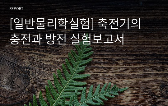 [일반물리학실험] 축전기의 충전과 방전 실험보고서