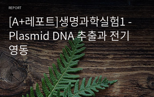 [A+레포트]생명과학실험1 - Plasmid DNA 추출과 전기영동