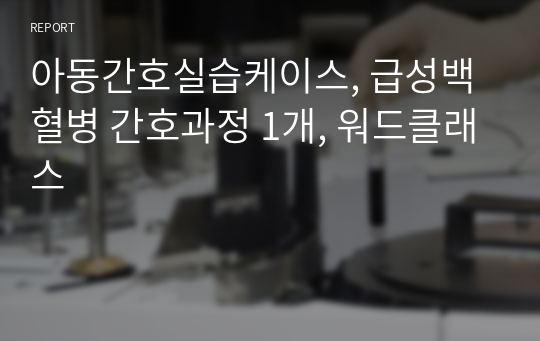 아동간호실습케이스, 급성백혈병 간호과정 1개, 워드클래스