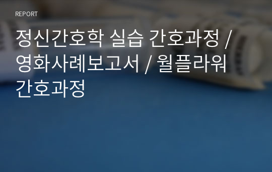 정신간호학 실습 간호과정 / 영화사례보고서 / 월플라워 간호과정