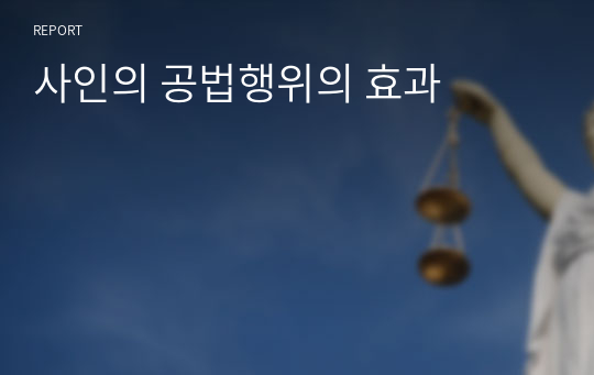 사인의 공법행위의 효과