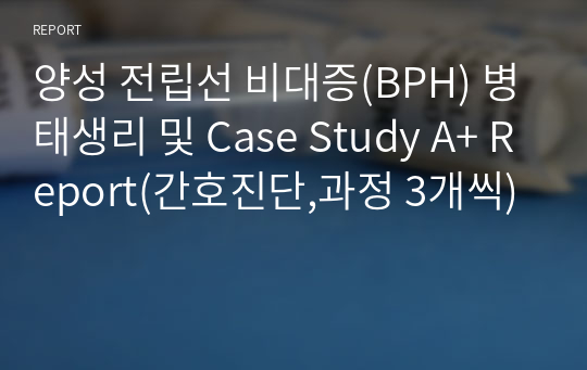 양성 전립선 비대증(BPH) 병태생리 및 Case Study A+ Report(간호진단,과정 3개씩)