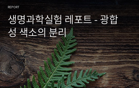 [생명과학실험] 광합성 색소의 분리