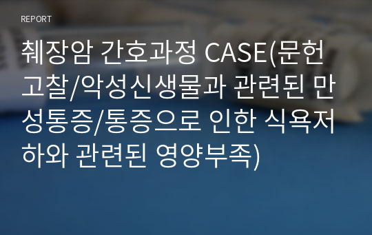 췌장암 간호과정 CASE(문헌고찰/악성신생물과 관련된 만성통증/통증으로 인한 식욕저하와 관련된 영양부족)