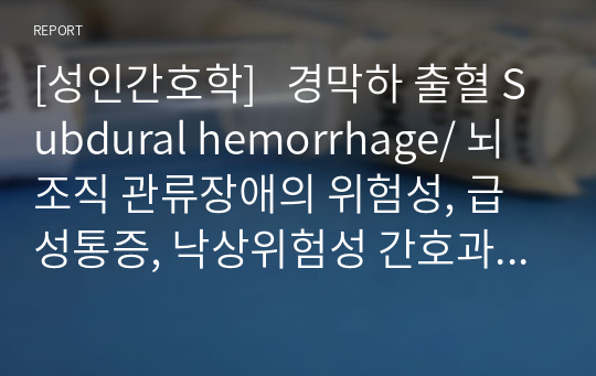 [성인간호학]   경막하 출혈 Subdural hemorrhage/ 뇌 조직 관류장애의 위험성, 급성통증, 낙상위험성 간호과정 3개