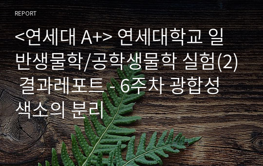 &lt;연세대 A+&gt; 연세대학교 일반생물학/공학생물학 실험(2) 결과레포트 - 6주차 광합성 색소의 분리