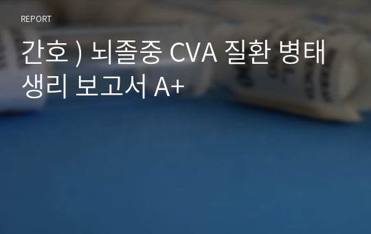 간호 ) 뇌졸중 CVA 질환 병태생리 보고서 A+